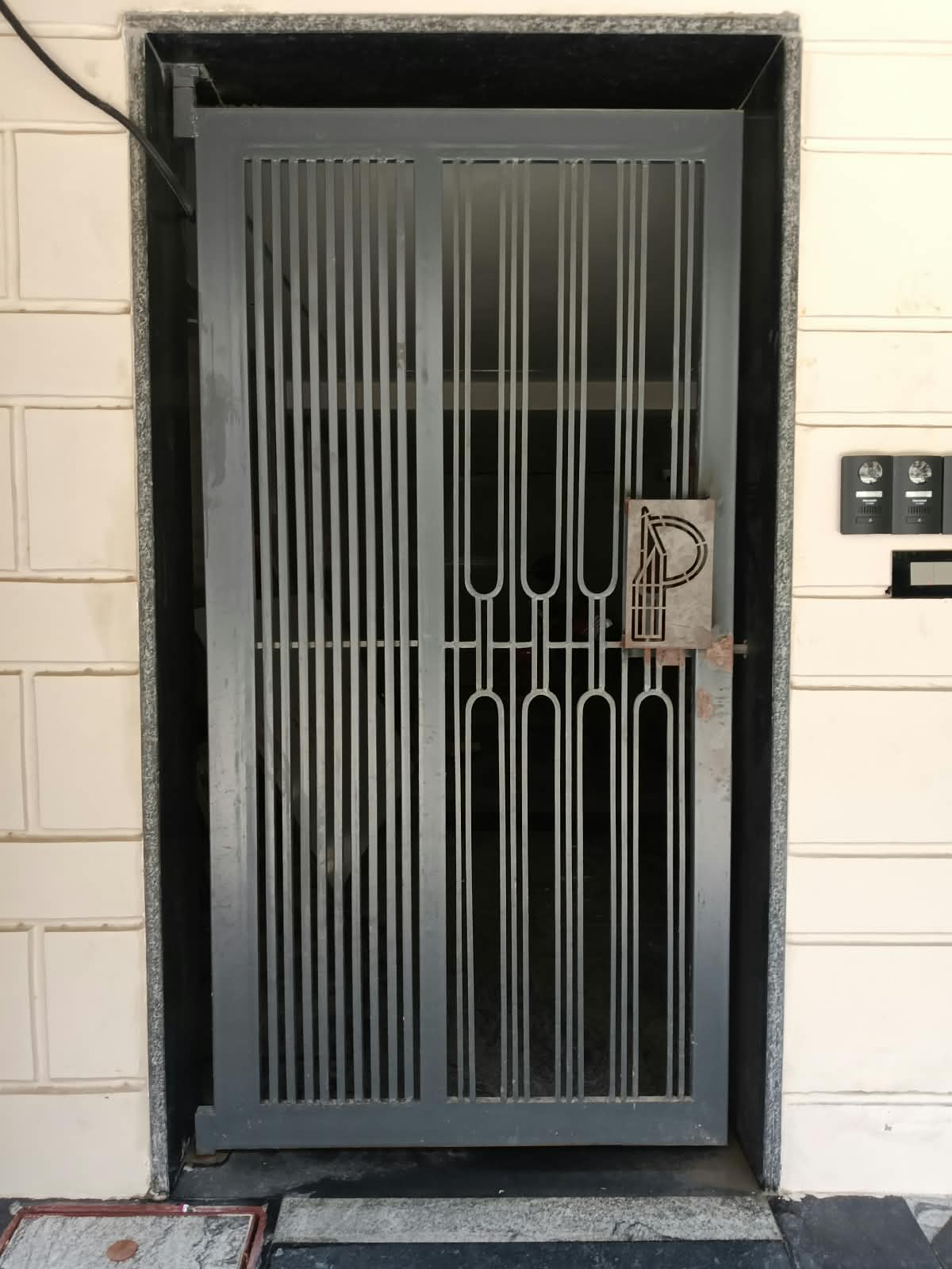Modern Designer Steel Safety Door